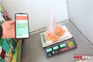 泰安首座24小時智能無人果蔬店落地泮河社區(qū)，新鮮水果零售開啟智慧新篇章