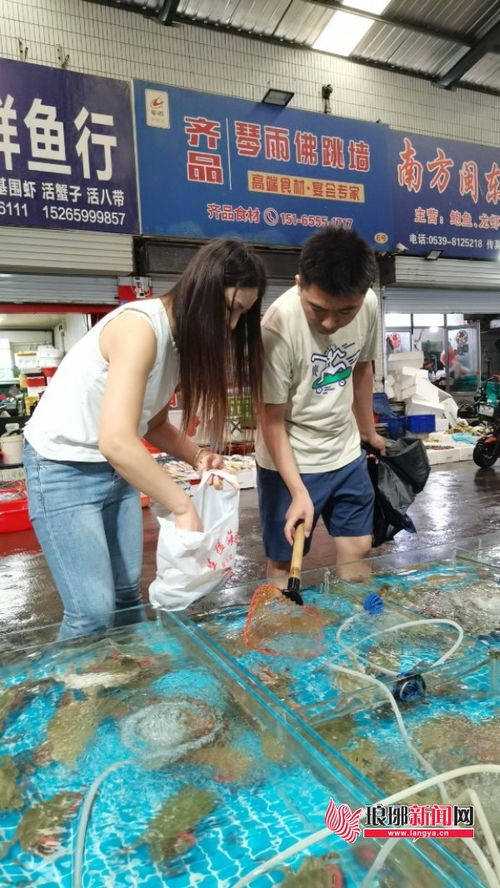 蔬菜市場零售均價環比下降，新鮮水果與梭子蟹齊上市，品味秋日第一口鮮